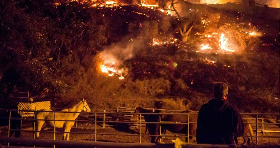Hillside Fire