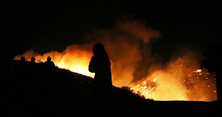 Los Angeles Creek Fire
