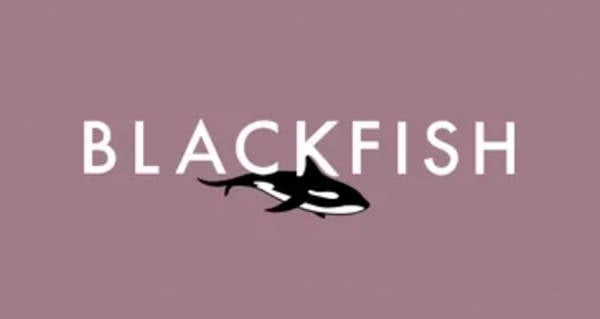 Blackfish best Netflix documentaries