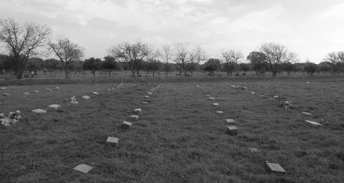 David Koresh, The Man Who Led ‎Branch Davidians Into The Waco Siege