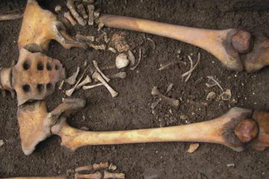 Coffin Birth In A Medieval Grave