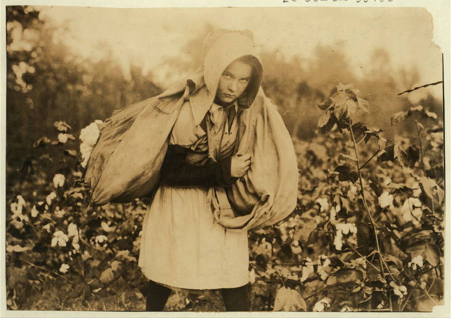 Cotton Picker Oklahoma