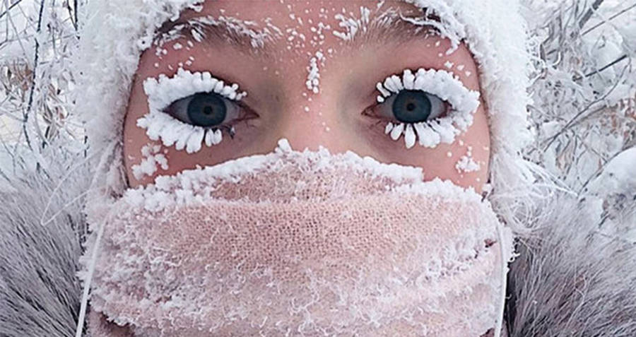 Frozen Eyelashes