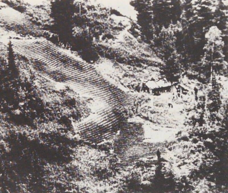 Lykov Home From Above