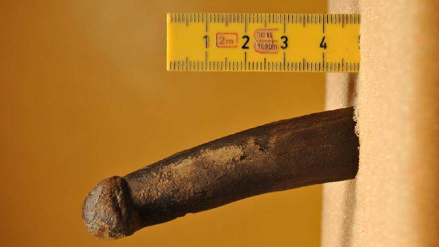 Greek Sex 1600 Bc - The Surprising 30,000 Year History Of The Dildo