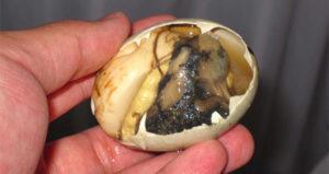 Balut Less Gross