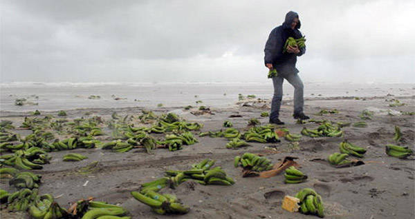 The 18 Weirdest Items To Ever Wash Up On The Beach