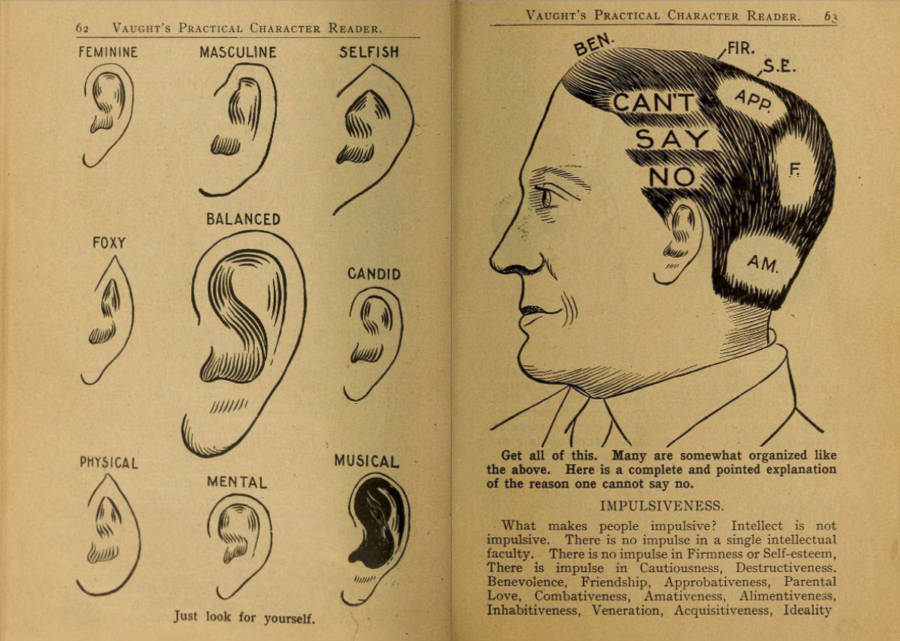 Phrenology Ear Chart