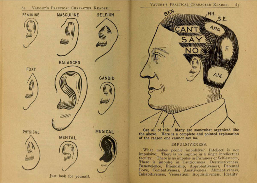 33 Absurd Phrenology Charts From A Century Ago