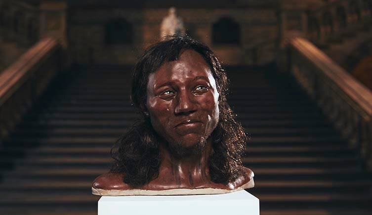 Cheddar Man Bust