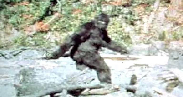 Woman Sues California For Not Admitting Bigfoot Exists Yes Bigfoot 