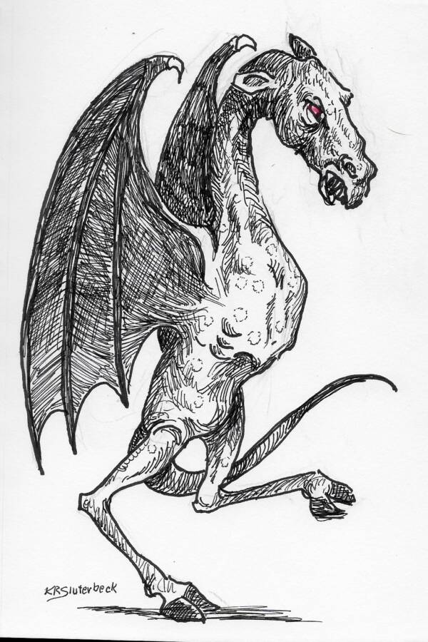 Illustration Of The Jersey Devil