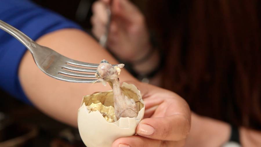 Balut The Controversial Street Food Made From Fertilized Duck Eggs