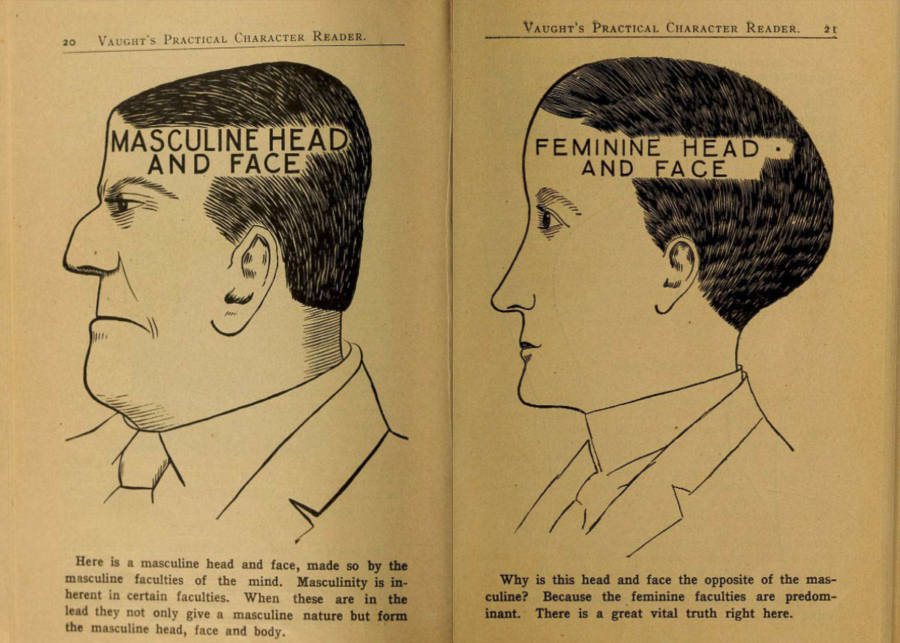 Masculine Vs Feminine Phrenology Chart