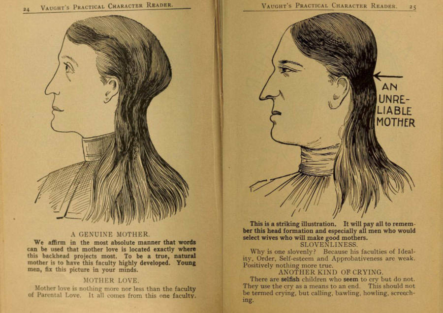 33-absurd-phrenology-charts-from-a-century-ago