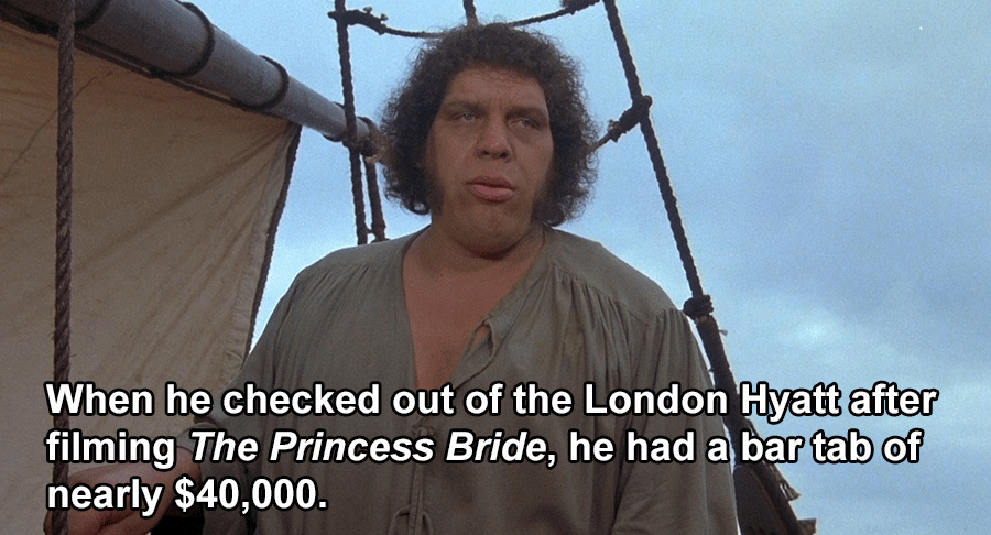 Andre The Giant Facts Bar Tab