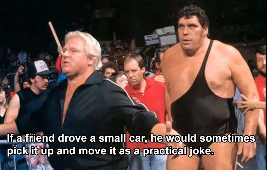 26 Andre The Giant Facts You'll Hardly Believe Are True