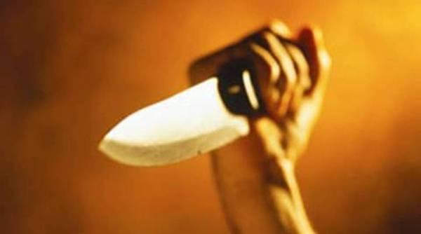 Butcher Knife