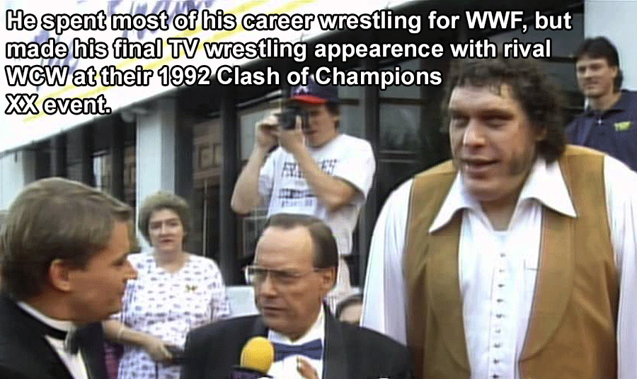 26 Andre The Giant Facts You'll Hardly Believe Are True