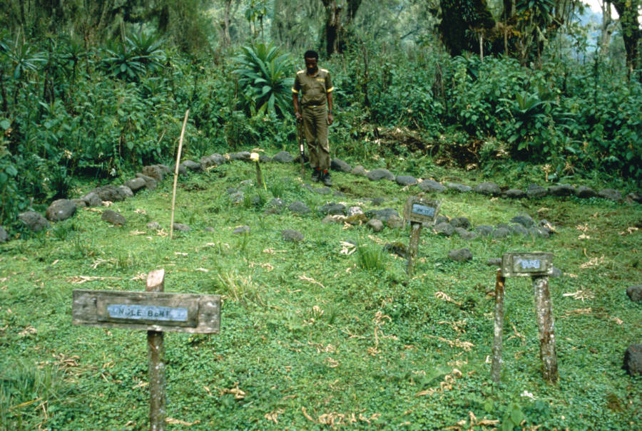 Dian Fossey's Grave