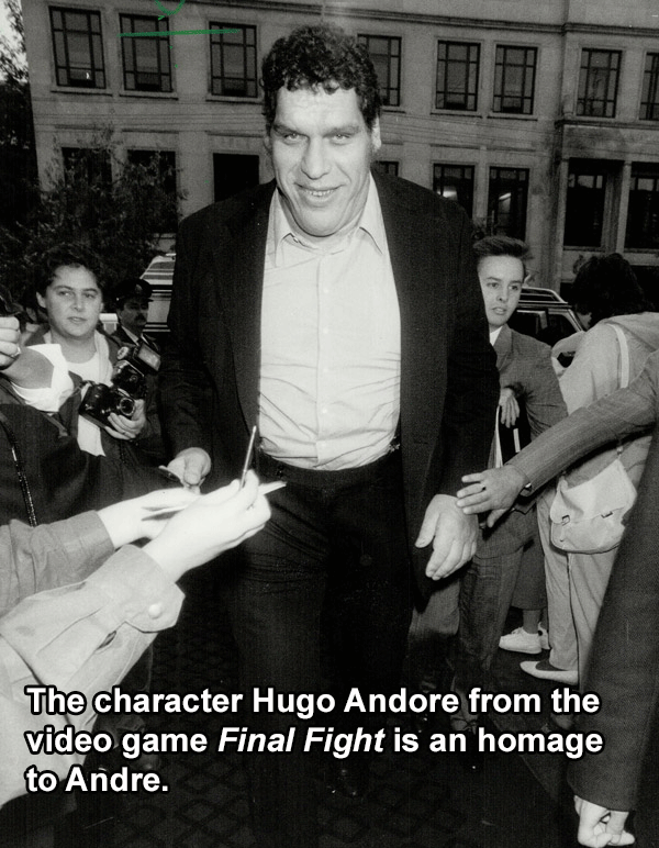 26 Andre The Giant Facts You'll Hardly Believe Are True