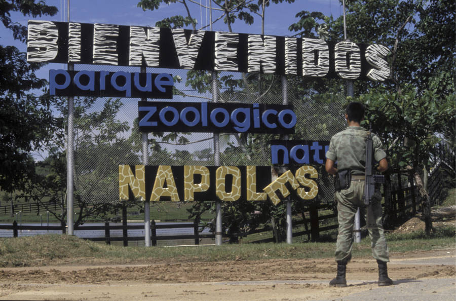 Zoo Entrance At Pablo Escobar's Mansion