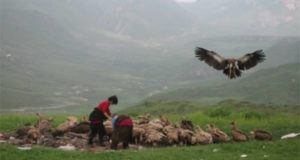 Sky Burial Vultures