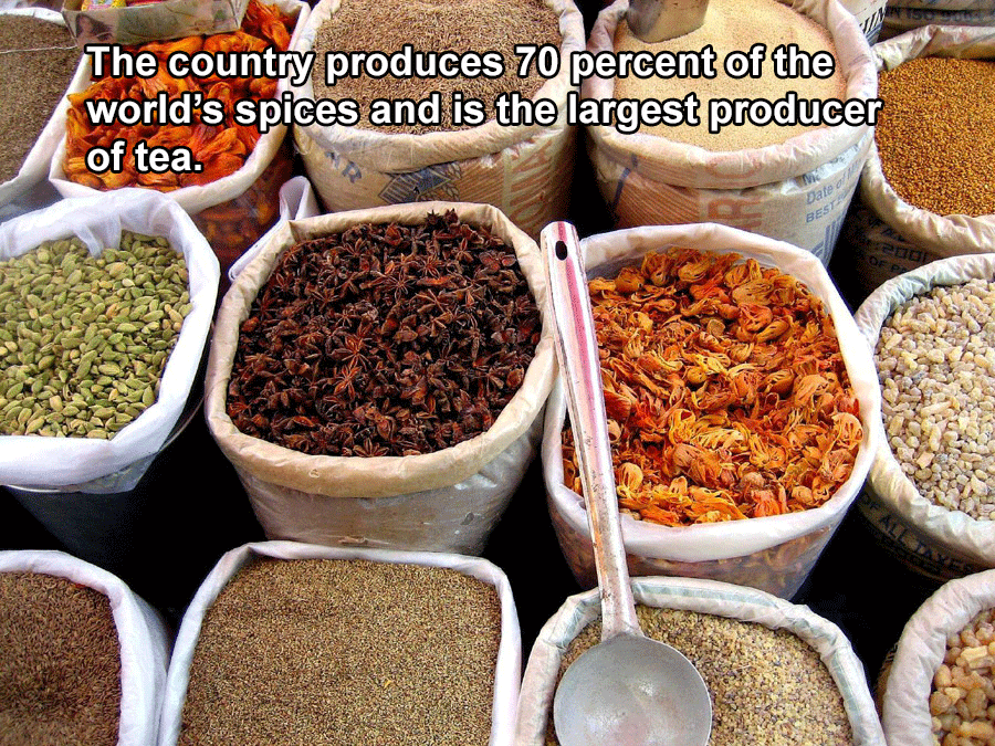 Interesting India Facts Spices