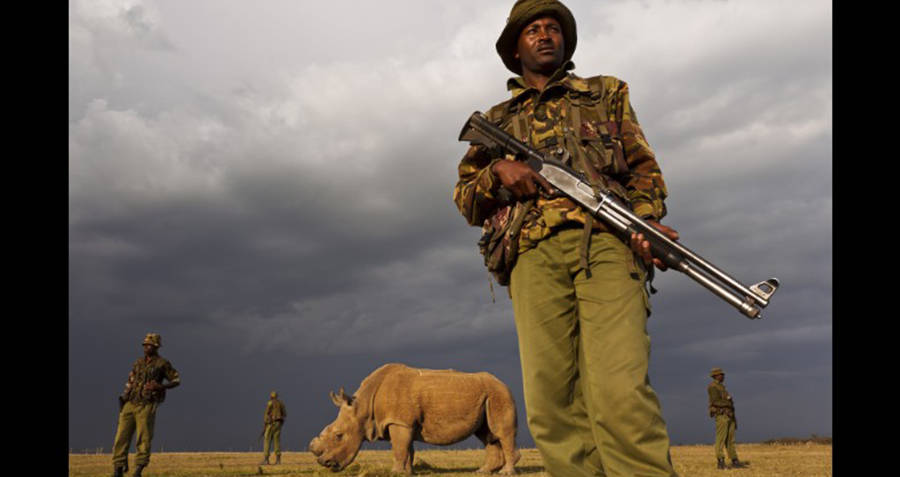 Sudan Armed Guards