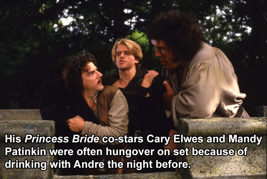 The Princess Bride