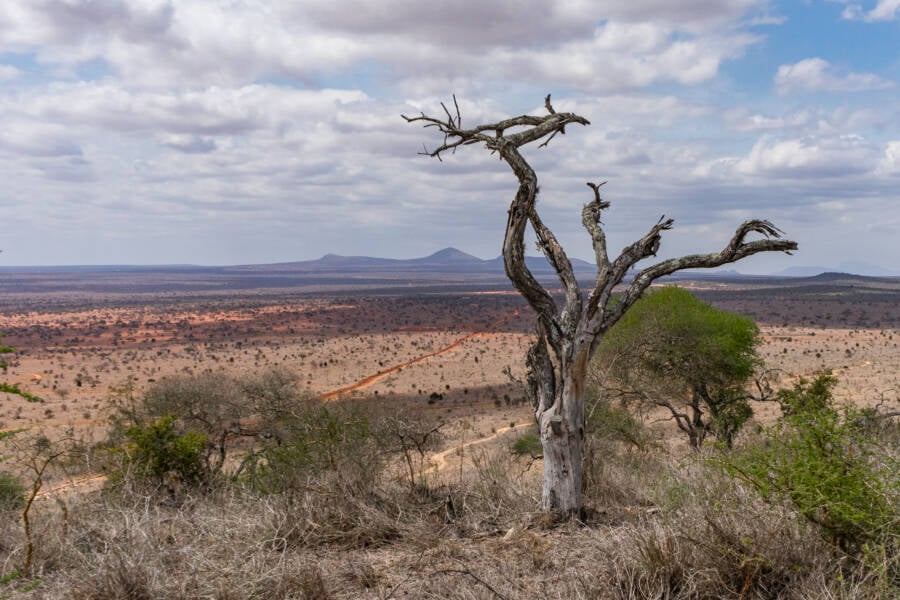 Tsavo Region Of Kenya