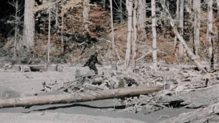 Bigfoot Walking