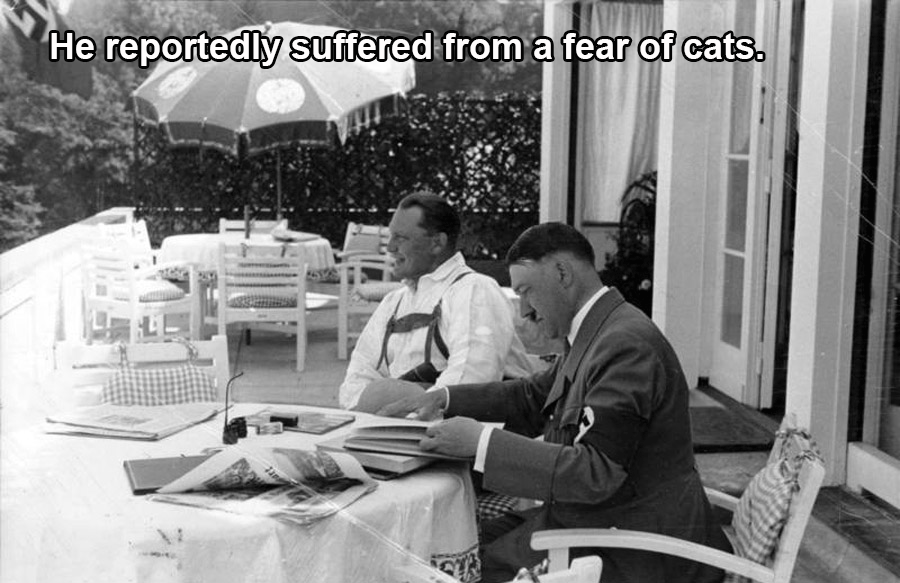 Hitler's Fear Of Cats