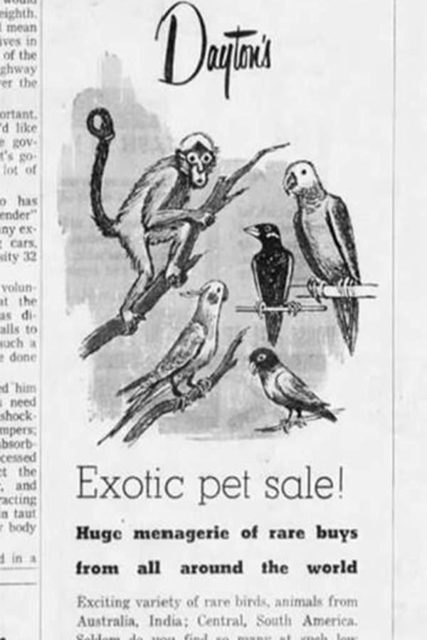 Daytons Exotic Pet Sale
