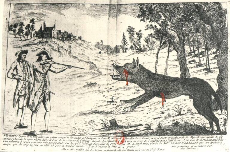 How The Beast Of Gévaudan Terrorized 18th-Century France