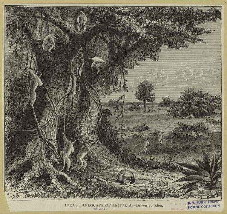 Paysage de la Lémurie