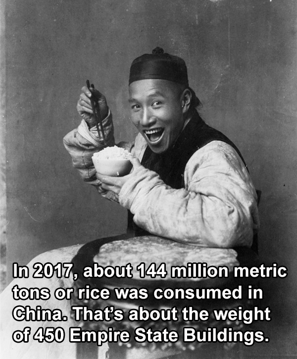 33 China Facts And Photos That Will Boggle Your Mind