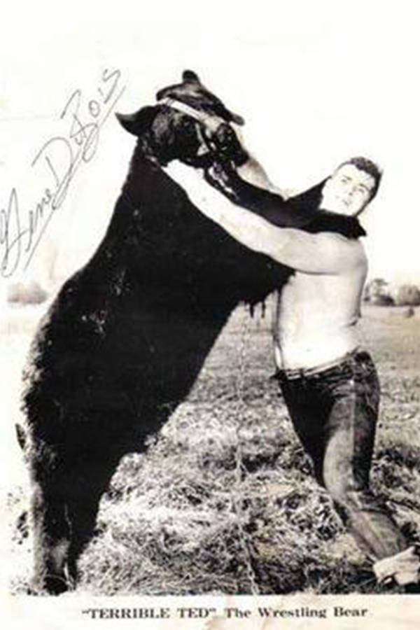 Terrible Ted And Gene Dubois