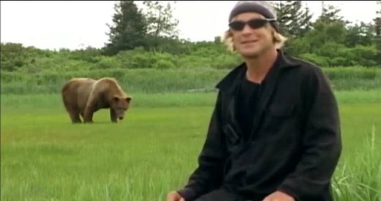 Timothy treadwell promo bear