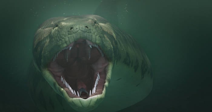Titanoboa Was The 50-Foot Prehistoric Snake Of Your Nightmares