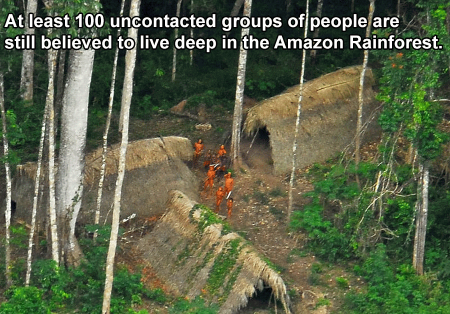 Interesting Facts About Brazil Tribe