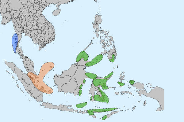 Bajau People: The Far Eastern 