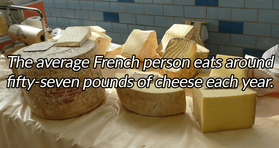 Blocks Of Cheese