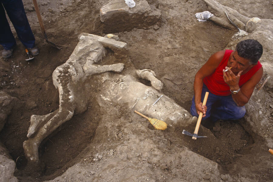 39 Agonizing Photos Of Pompeii's Bodies Frozen In Time