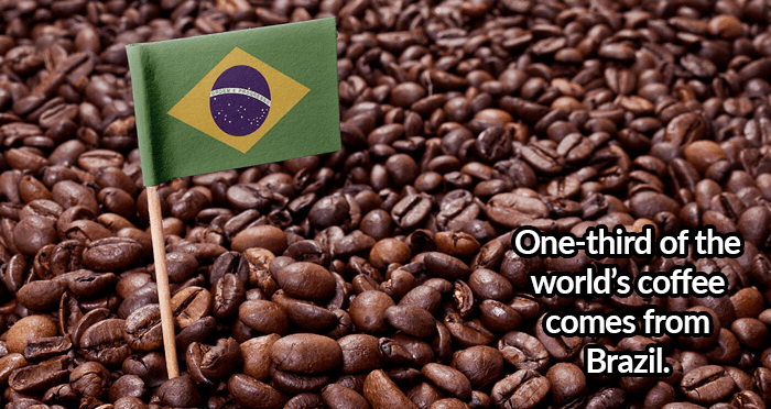 Brazilian Coffee Production