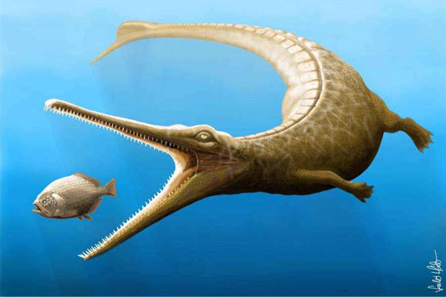 Magyarosuchus fitosi
