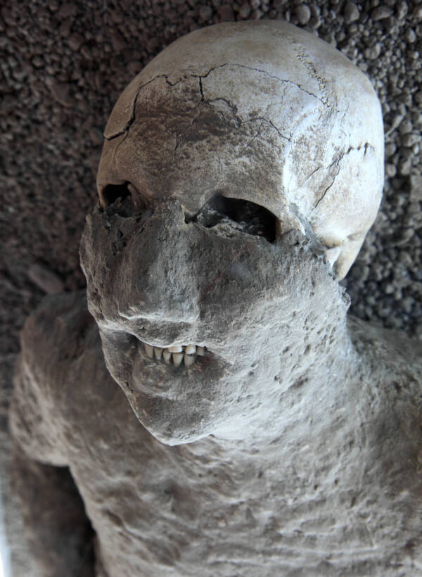 Face Of Pompeii Mummy