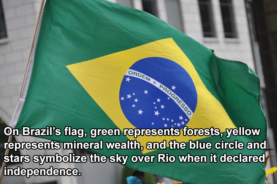 Brazilian Flag