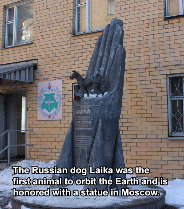 laika statue