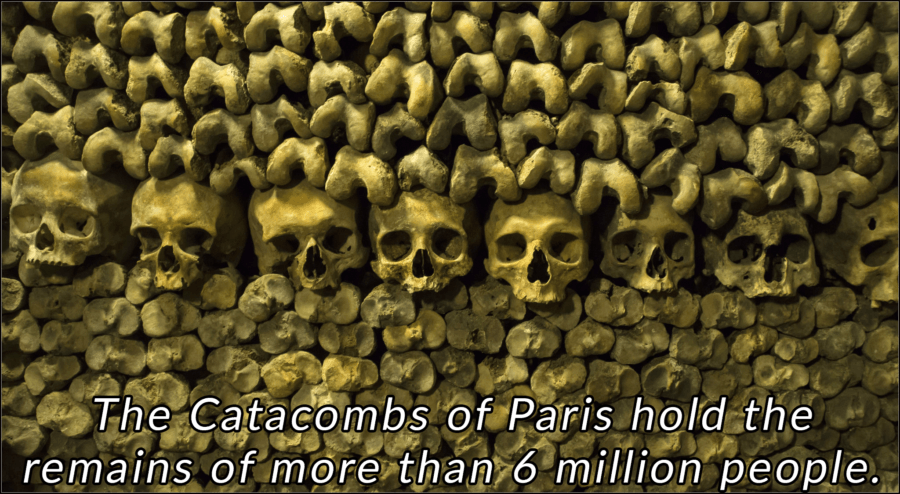 Interesting France Facts Catacombs